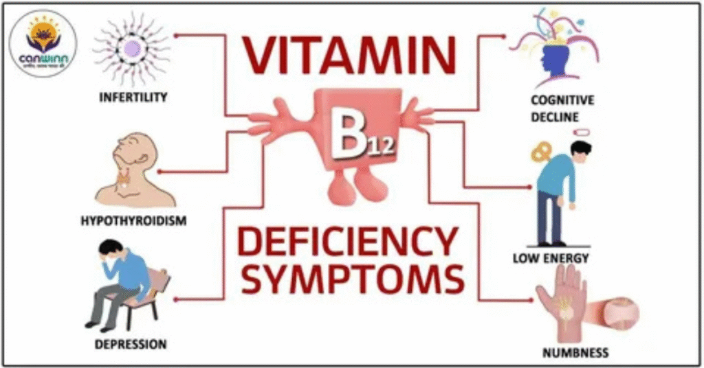 Causes of High Vitamin B12
