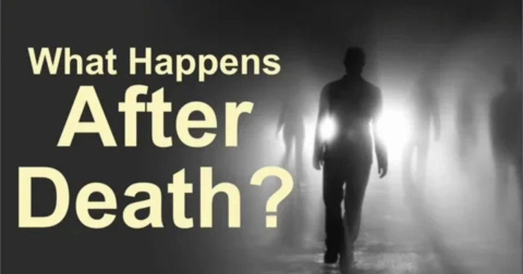 What Happens After an ER Visit