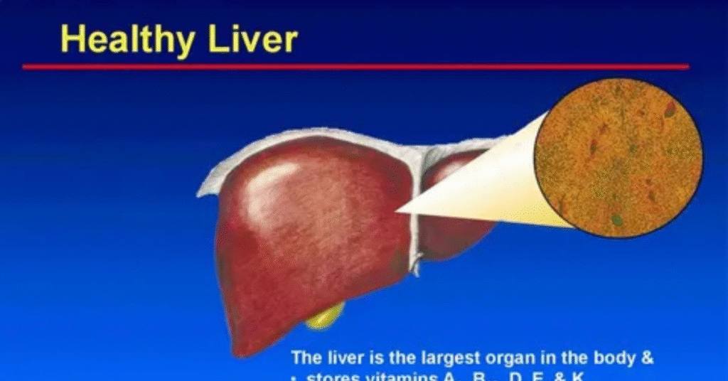 Connection Between High Vitamin B12 and Liver Health